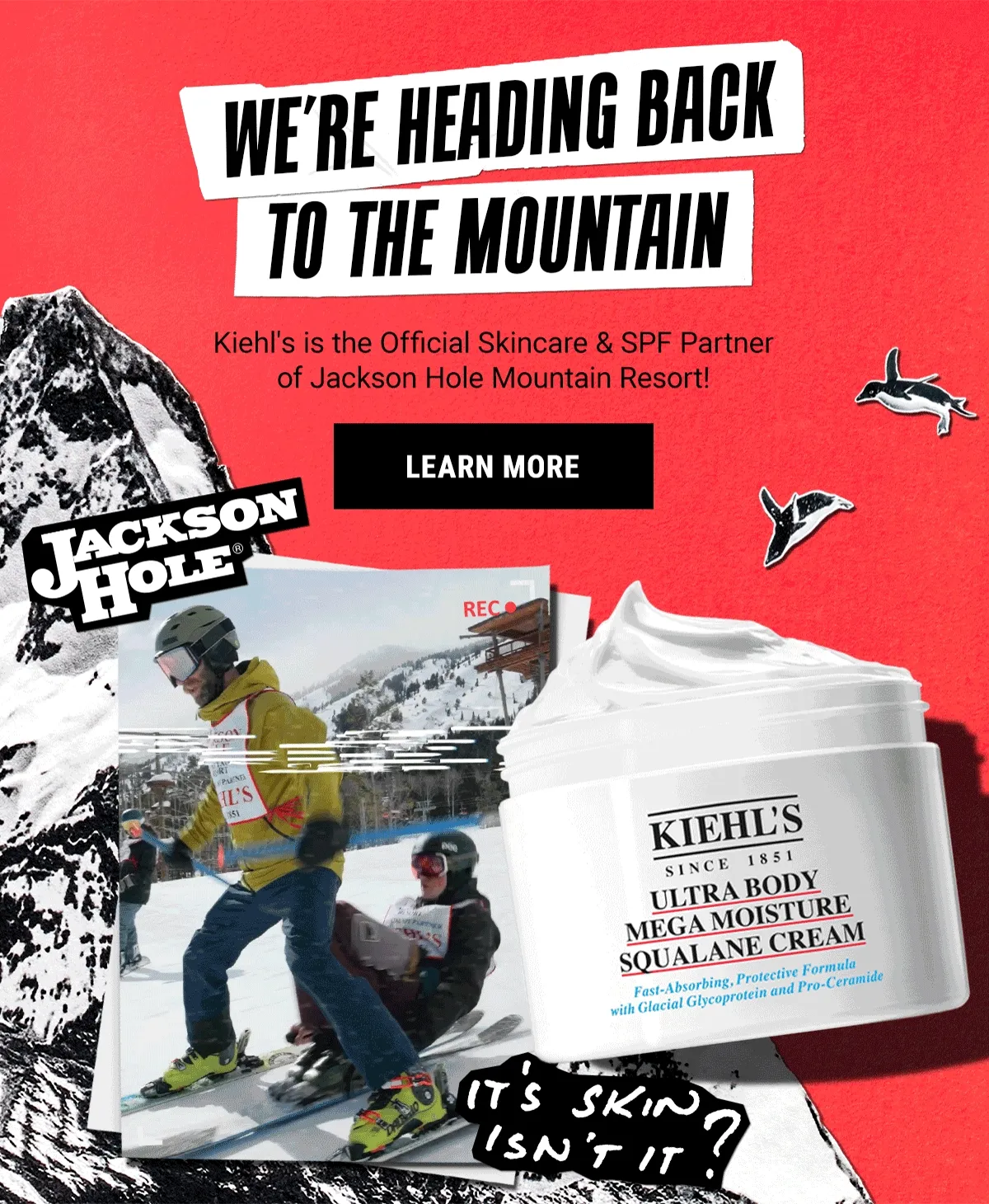 We're heading back to the mountain