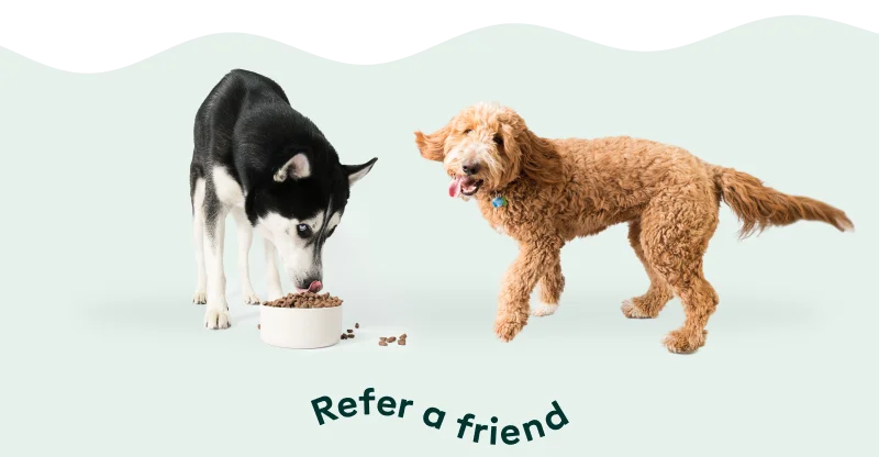 Refer A Friend