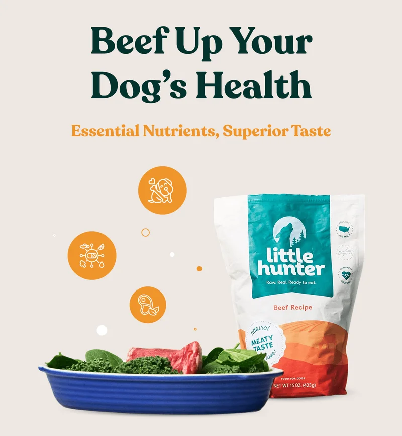 Beef Up Your Dog’s Health