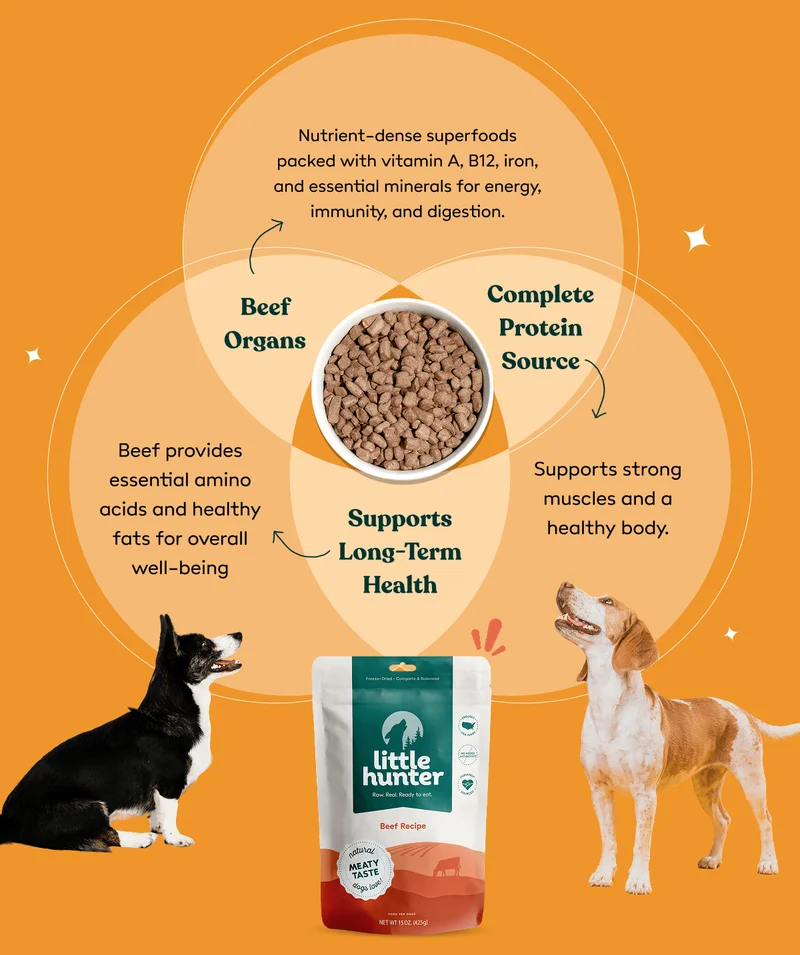 Beef is a Game-Changer for Your Dog