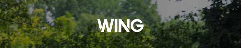 Wing