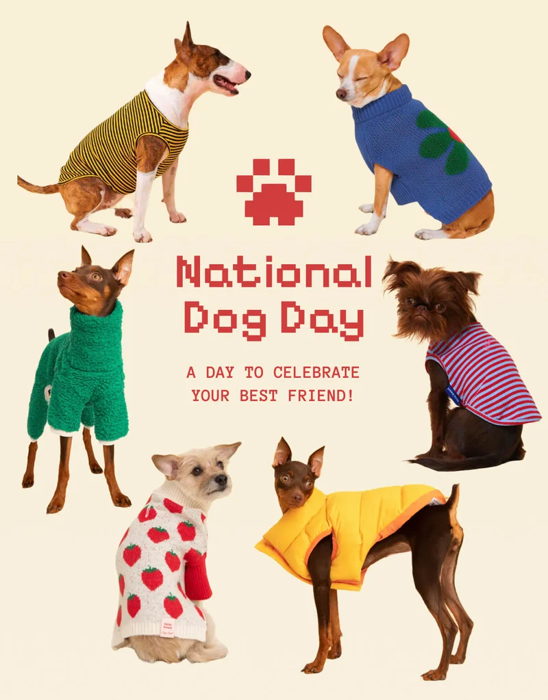 National Dog Day - A Day to Celebrate Your Best Friend!