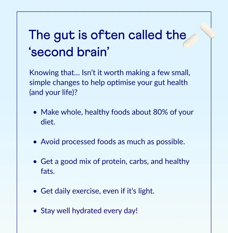 The gut is often called the ‘second brain’
