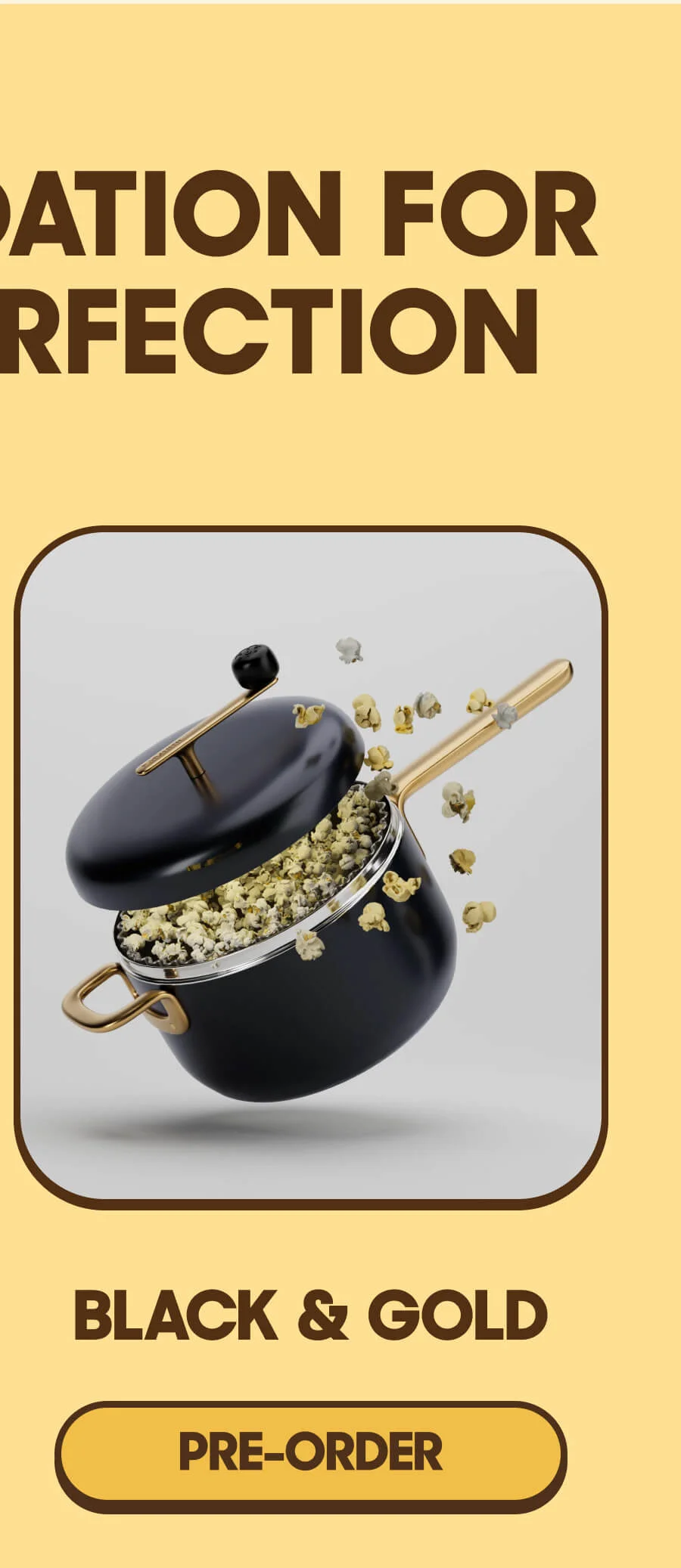 Black & Gold PRE-ORDER