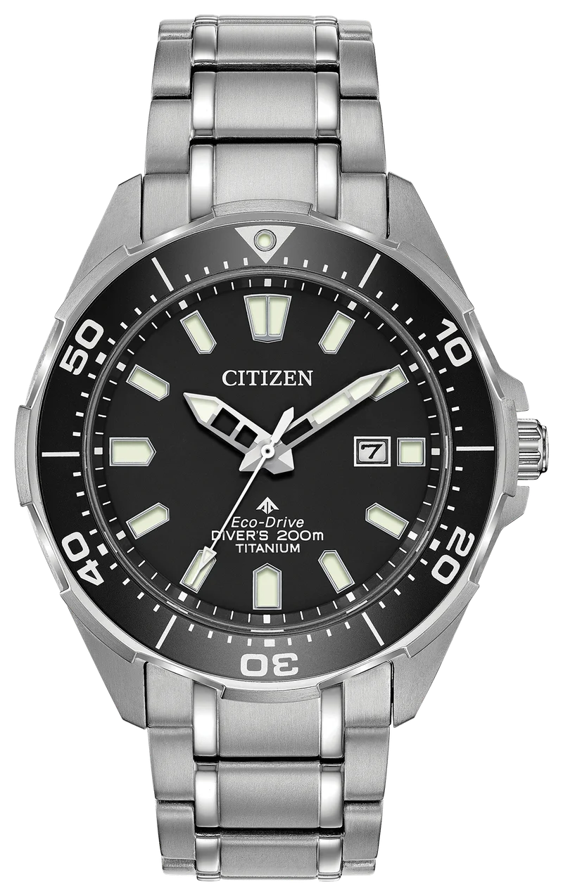 Image of Promaster Dive