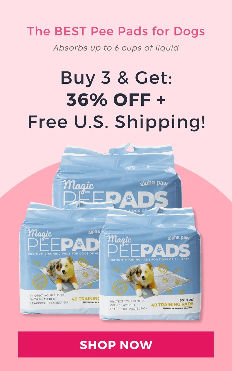 Magic Pee Pads