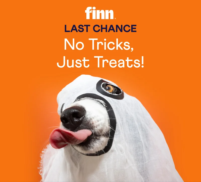 LAST CHANCE! No Tricks, Just Treats: Take 20% Off