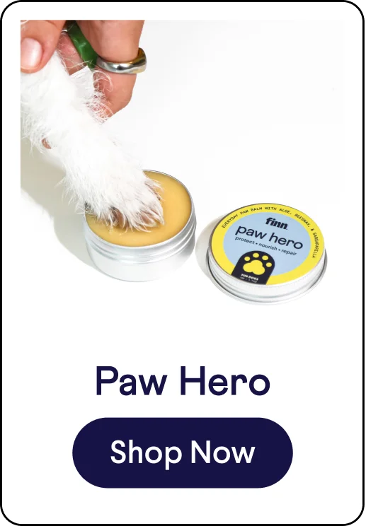 Paw Hero
