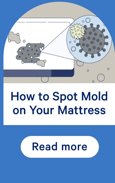 How to Spot Mold on Your Mattress