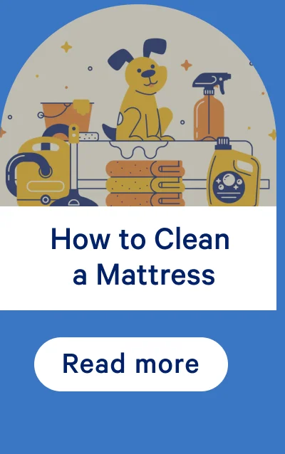How to Clean a Mattress