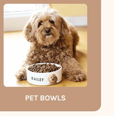 Pet Bowls