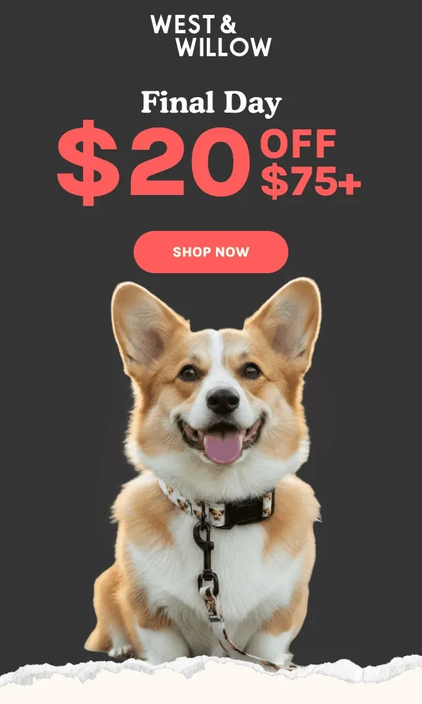 Shop Now