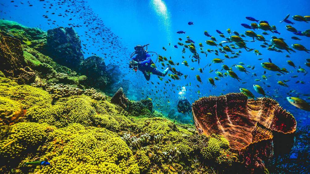 Image description: Scuba diving with Beaches Turks & Caicos.