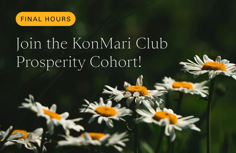Final Hours: Join the KonMari Club Prosperity Cohort!