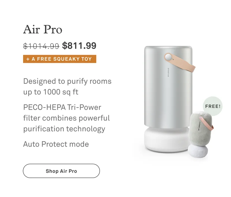 Air Pro