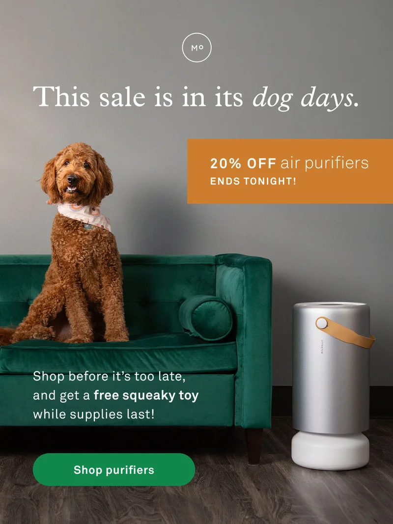 Take 20% off air purifiers