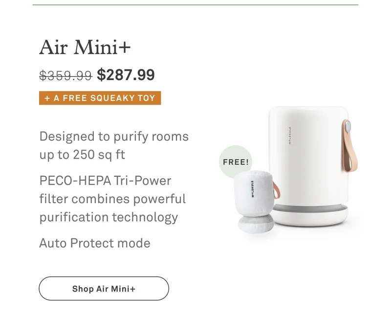 Air Mini+
