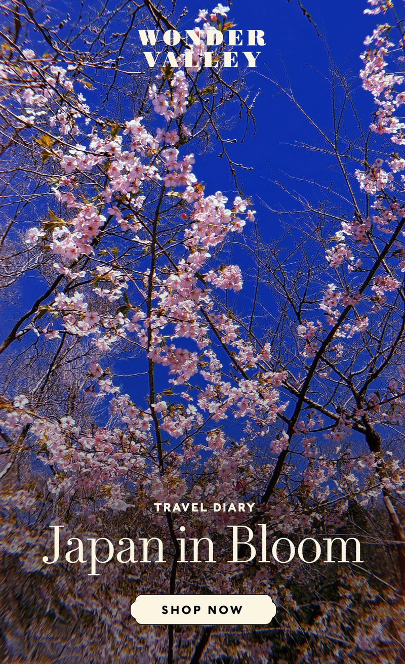 Travel Diary Japan in Bloom
