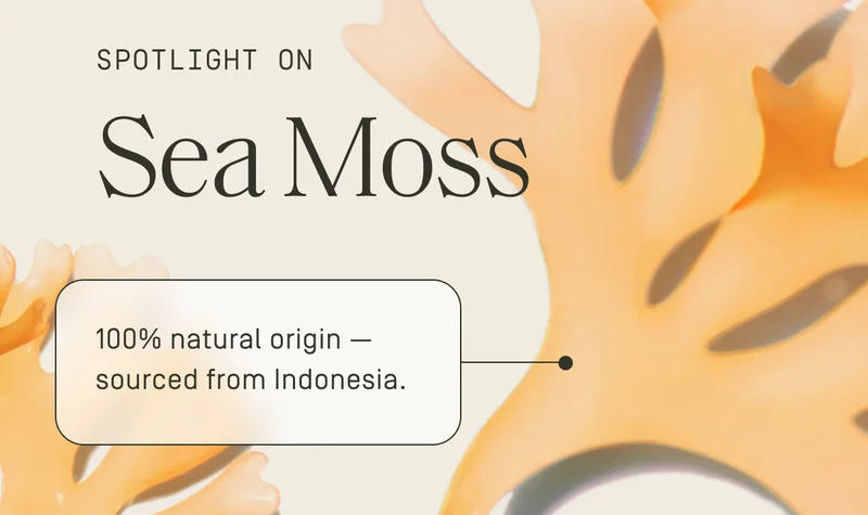 Sea Moss