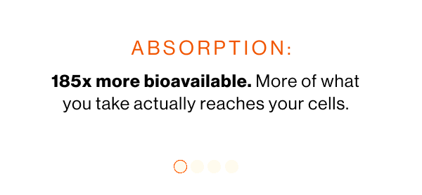 Absorption | Energy | Immunity | Recovery