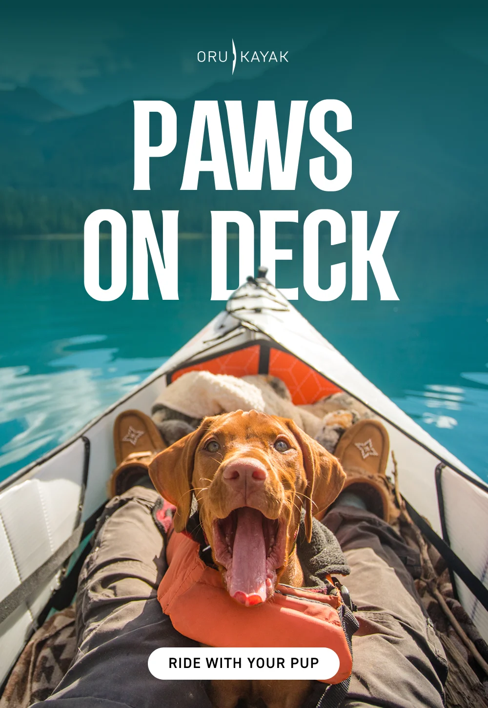 Paws on Deck!