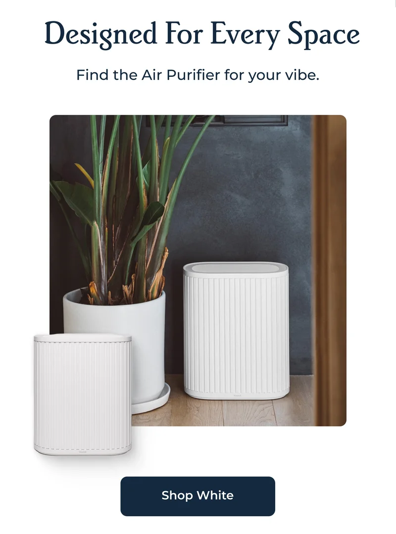 Find the Air Purifier for your vibe. | Shop White