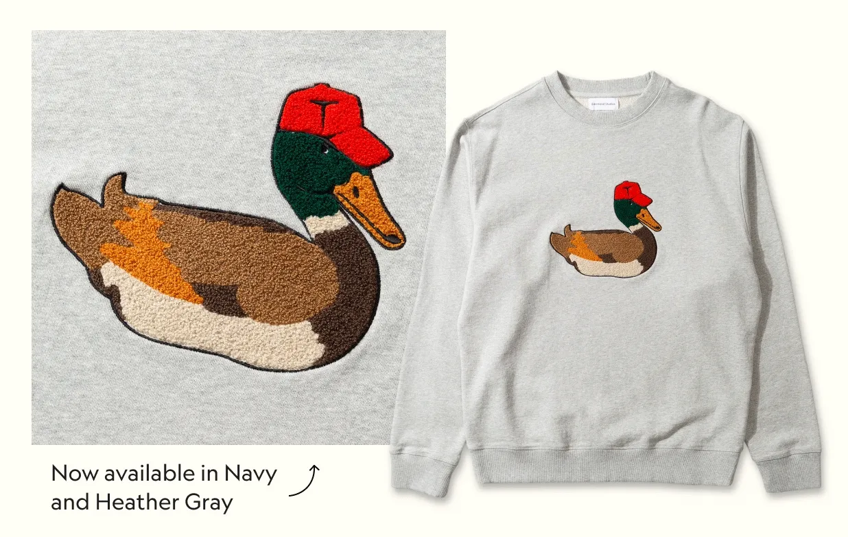 Duck Hunt