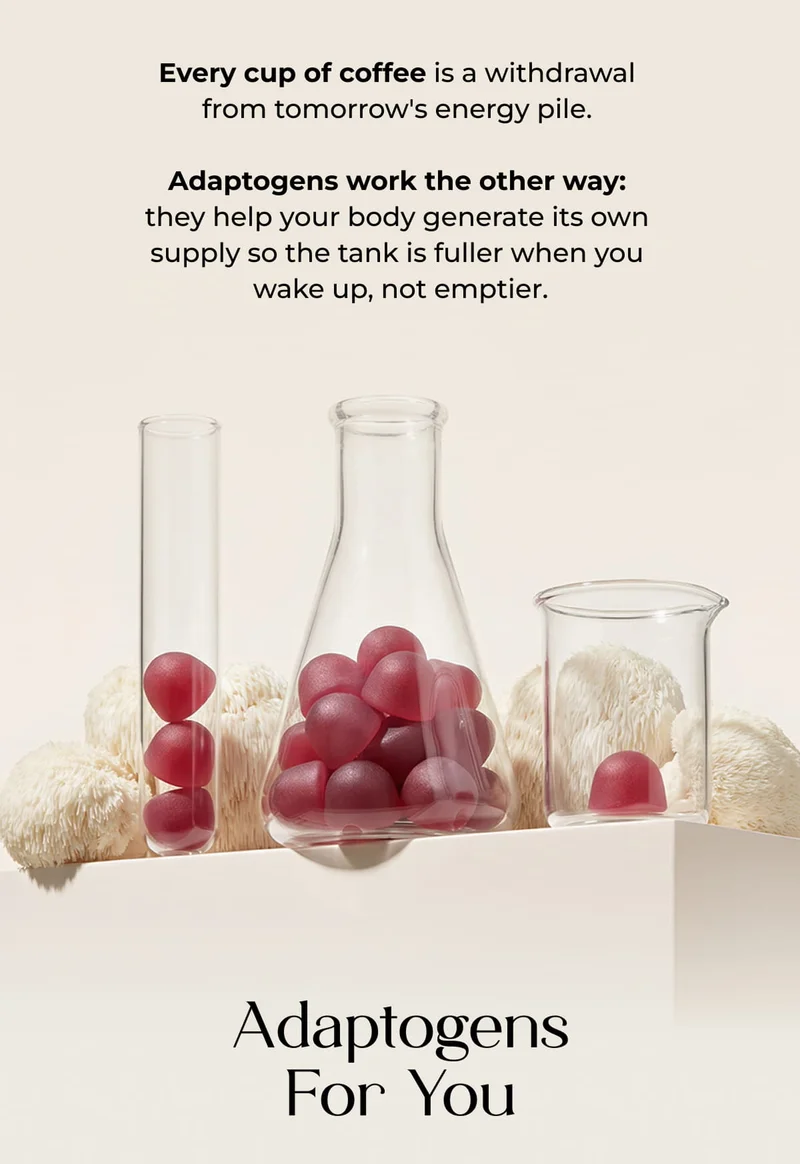 Adaptogens For You