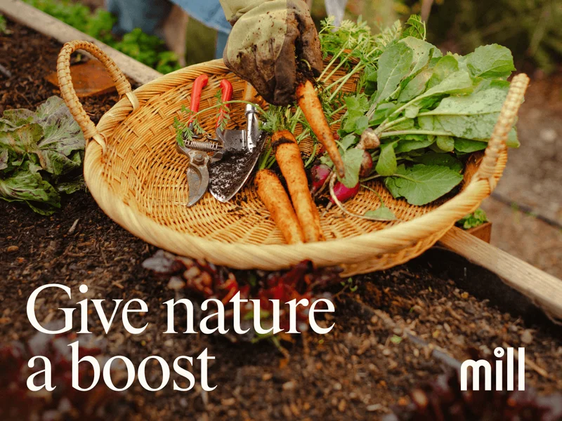 Give nature a boost