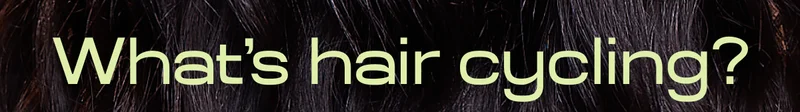 What's hair cycling?