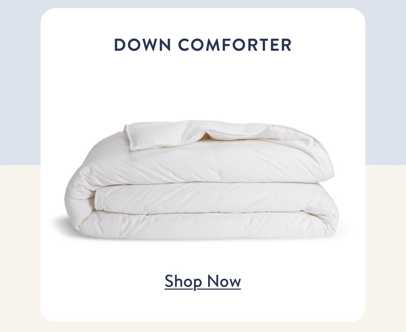 Down Comforter