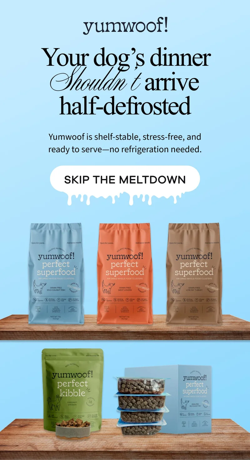yumwoof! | Your dog’s dinner Shouldn’t arrive half-defrosted | Yumwoof is shelf-stable, stress-free, and ready to serve—no refrigeration needed. | SKIP THE MELTDOWN