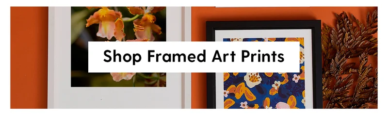 Shop Framed Art Prints