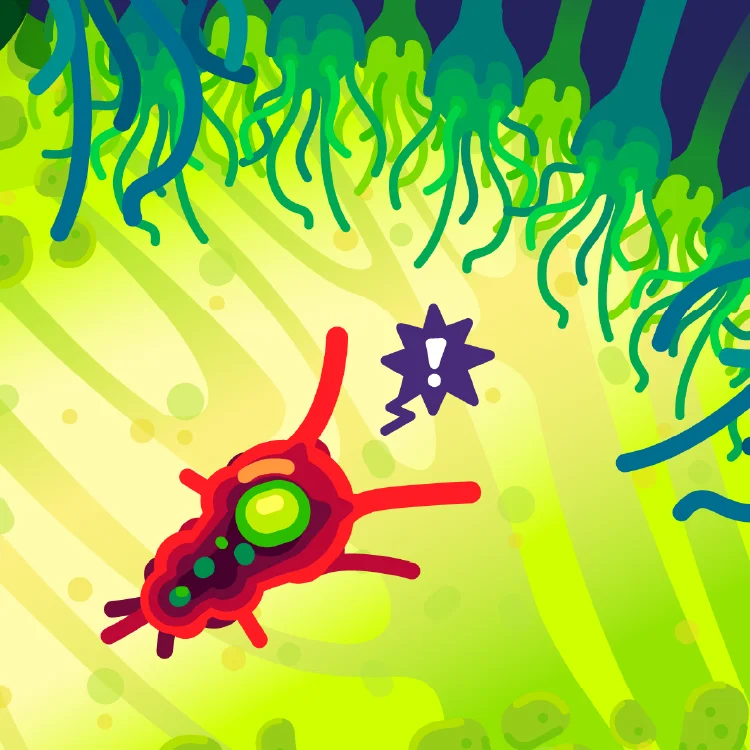 Illustration of the brain eating amoeba