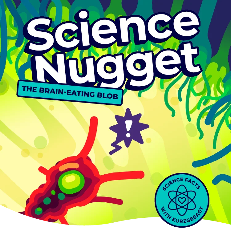 Science Nugget - The Brain Eating Blob
