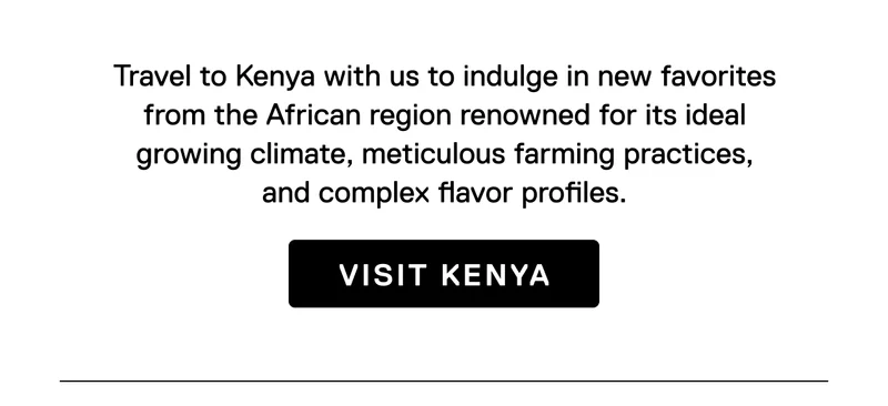 Travel to Kenya with us to indulge in a new favorite from the African region renowned for its ideal growing climate, meticulous farming practices, and complex flavor profiles. Visit Kenya