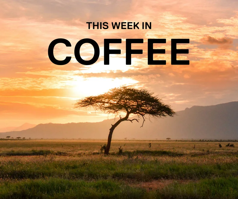 This week in Coffee