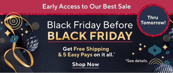Black Friday Sale