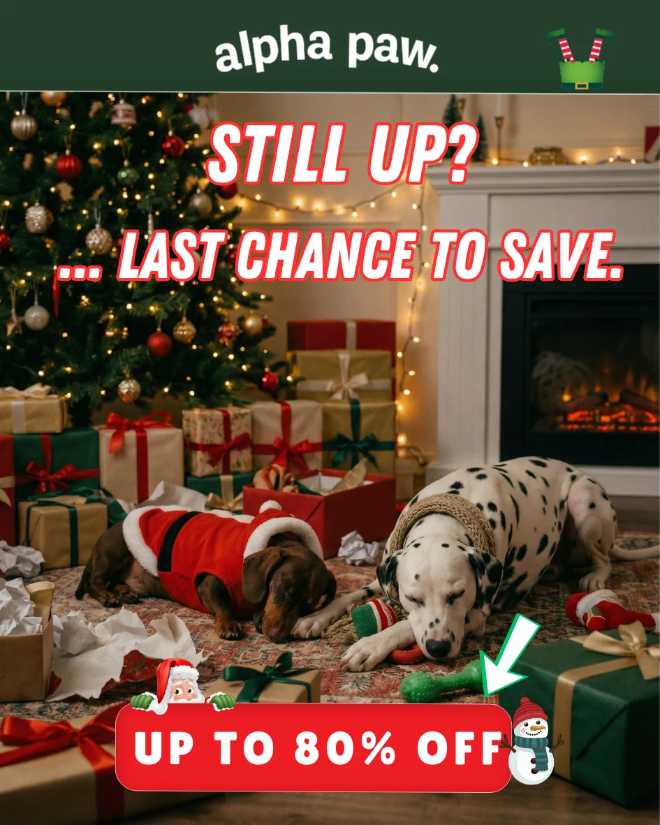 Alpha Pawlidays