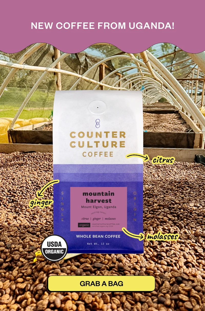 New coffee from Uganda citrus ginger molasses Grab a Bag