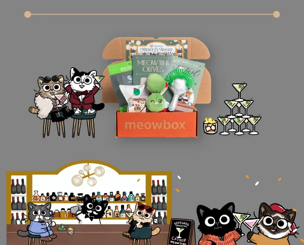 Image of the Meows and Booze meowbox with cat illustrations of a bar scene below
