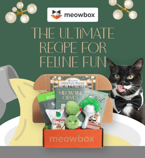 The ultimate recipe for feline fun! Image of a black and white cat with a bow tie on behind the Mews & Booze meowbox (featuring toys like the Meowtini Olives, Cat Tail Hour, Purr Me a Meowtini Catnip cat toys and more).