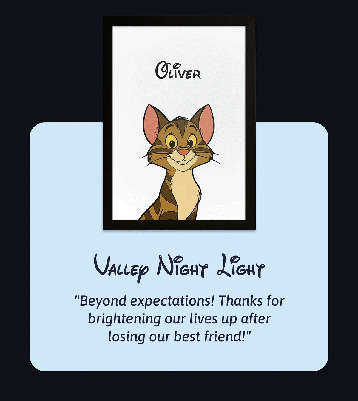 Valley Night Light "Beyond expectations! Thanks for brightening our lives up after losing our best friend!"