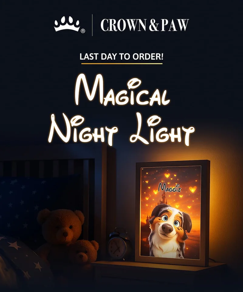 Magical Night Light Portraits - LAST DAY TO ORDER