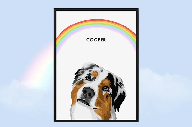 Modern Pet Portrait - Rainbow Background