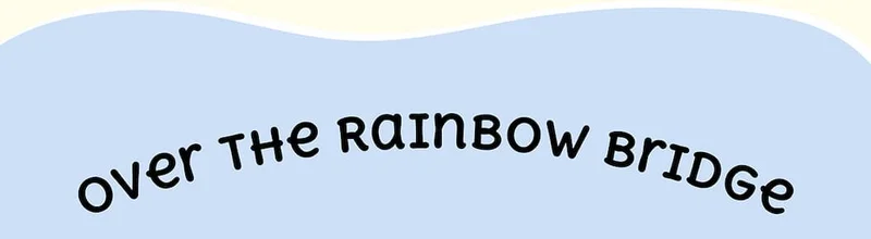 Over the rainbow bridge