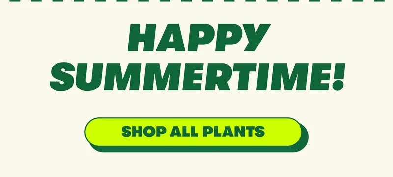 HAPPY SUMMER TIME!