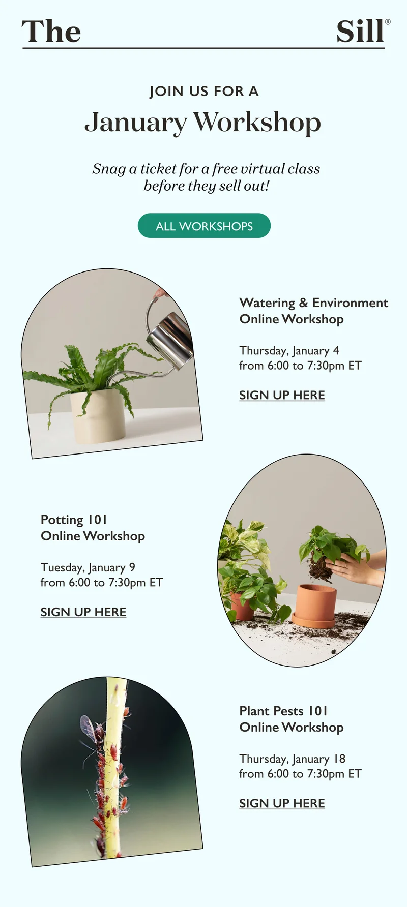 Join us for a January Workshop! Snag a ticket for a free virtual class before they sell out.