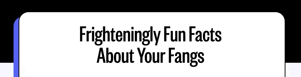 Frighteningly Fun Facts About Your Fangs