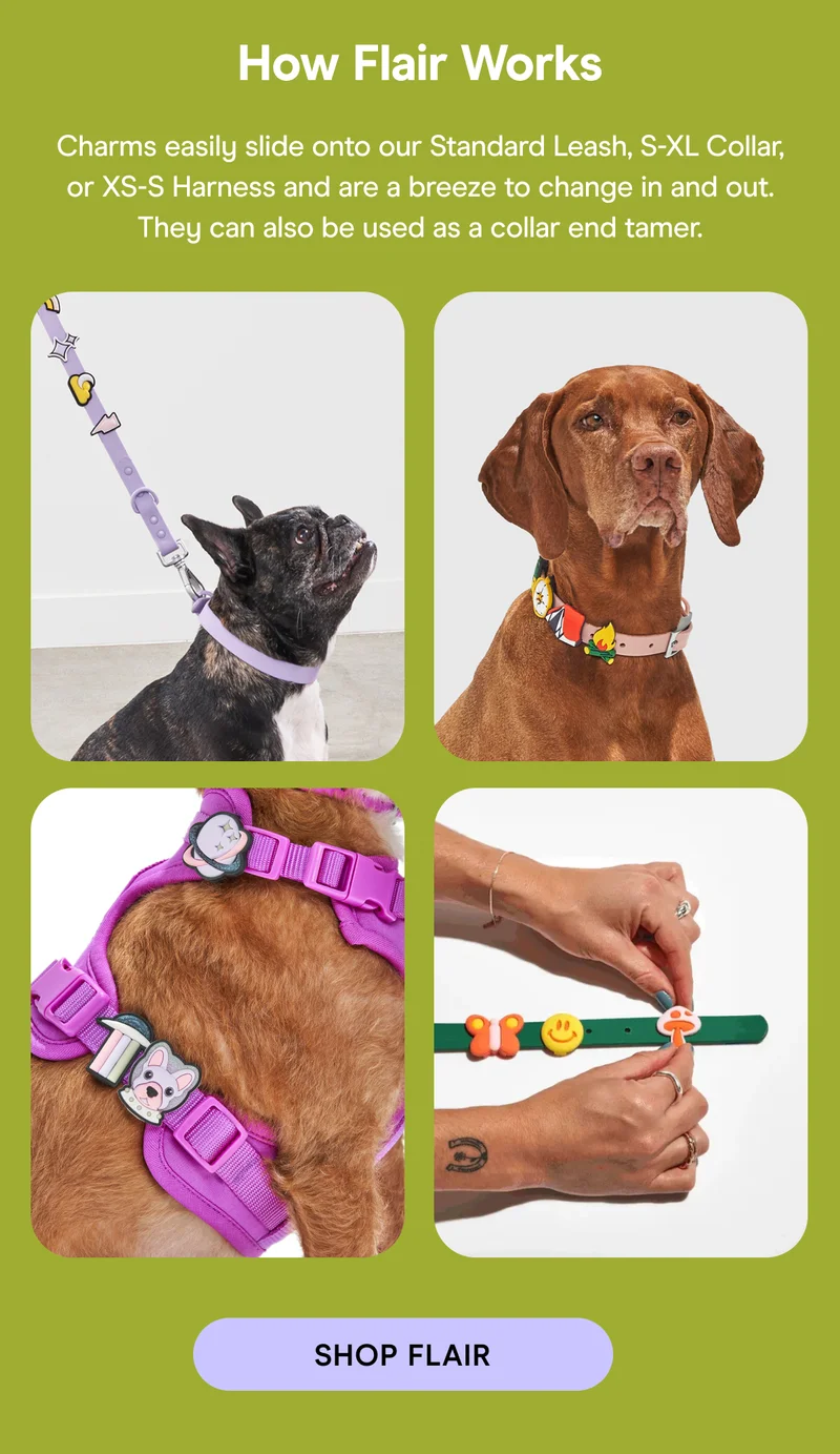 How Flair Works Charms easily slide onto our Standard Leash, S-XL Collar, or XS-S Harness and are a breeze to change in and out. They can also be used as a collar end tamer.